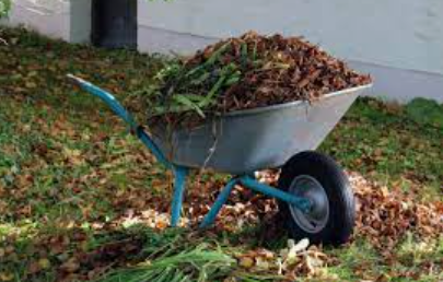 How to safely remove leaves from your garden