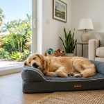 Golden retriever resting comfortably on a waterproof orthopedic dog bed indoors.